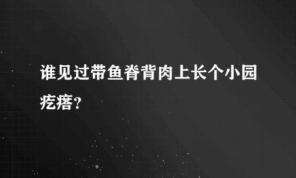 谁见过带鱼脊背肉上长个小园疙瘩？