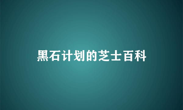 黑石计划的芝士百科