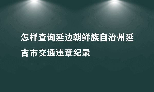 怎样查询延边朝鲜族自治州延吉市交通违章纪录