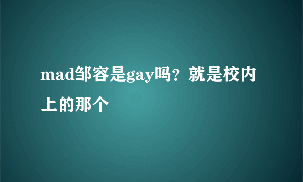 mad邹容是gay吗？就是校内上的那个