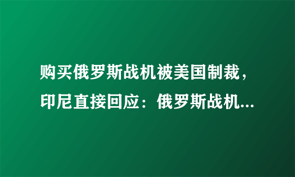 购买俄罗斯战机被美国制裁，印尼直接回应：俄罗斯战机我要定了！