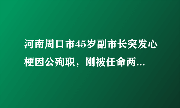 河南周口市45岁副市长突发心梗因公殉职，刚被任命两天-飞外网