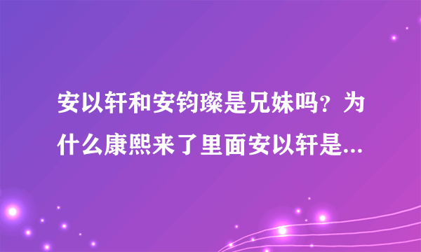 安以轩和安钧璨是兄妹吗？为什么康熙来了里面安以轩是说我弟弟想跟舒淇拍照？