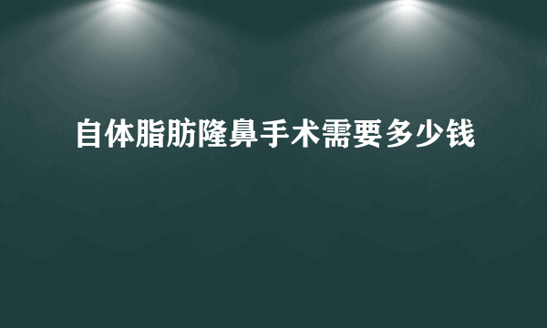 自体脂肪隆鼻手术需要多少钱