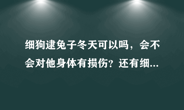 细狗逮兔子冬天可以吗，会不会对他身体有损伤？还有细狗的脚趾尖 多长适合逮兔子？