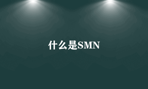 什么是SMN