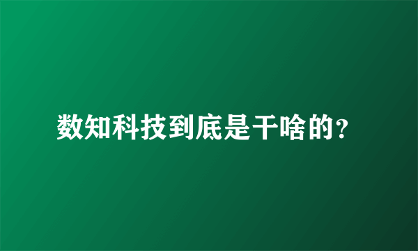 数知科技到底是干啥的？