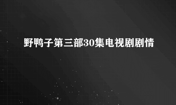 野鸭子第三部30集电视剧剧情