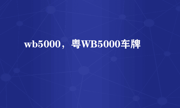 wb5000，粤WB5000车牌