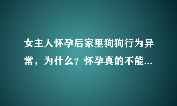 女主人怀孕后家里狗狗行为异常，为什么？怀孕真的不能养狗吗？