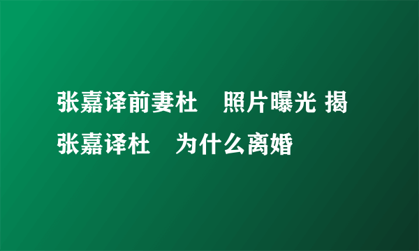 张嘉译前妻杜珺照片曝光 揭张嘉译杜珺为什么离婚