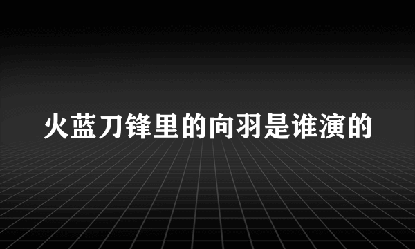 火蓝刀锋里的向羽是谁演的