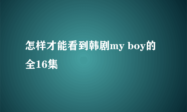 怎样才能看到韩剧my boy的全16集