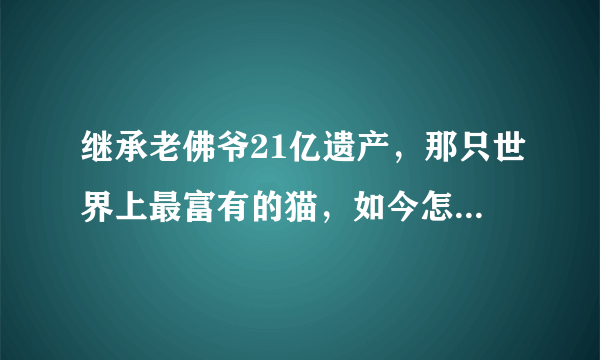 继承老佛爷21亿遗产，那只世界上最富有的猫，如今怎样了呢 ？