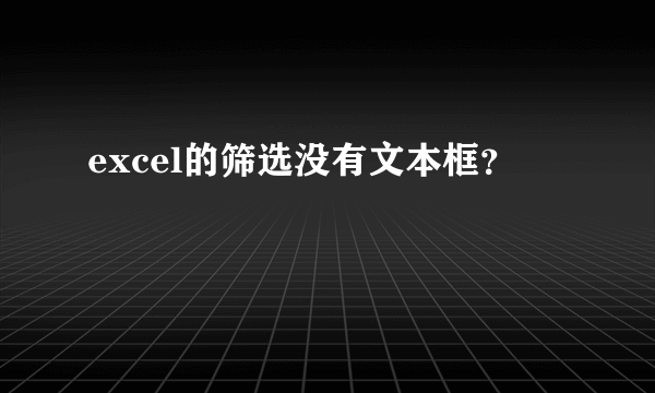 excel的筛选没有文本框？