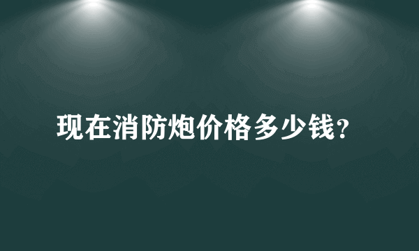 现在消防炮价格多少钱？