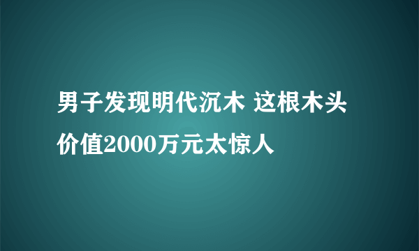 男子发现明代沉木 这根木头价值2000万元太惊人