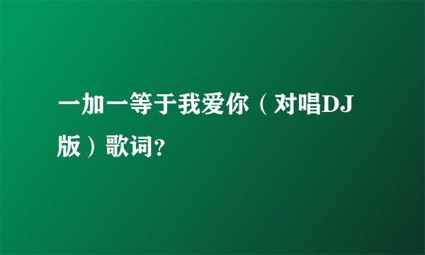 一加一等于我爱你（对唱DJ版）歌词？