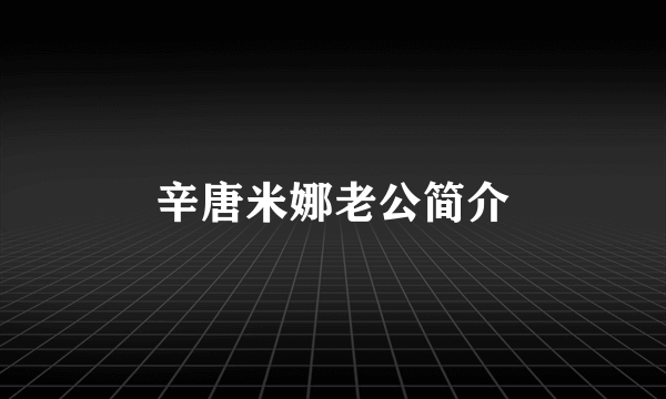 辛唐米娜老公简介