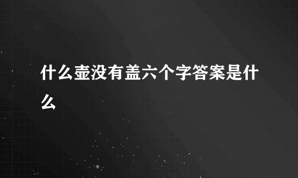 什么壶没有盖六个字答案是什么