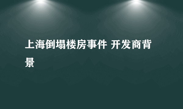 上海倒塌楼房事件 开发商背景