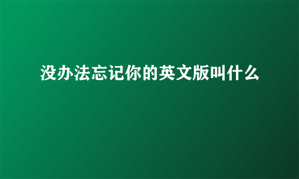 没办法忘记你的英文版叫什么