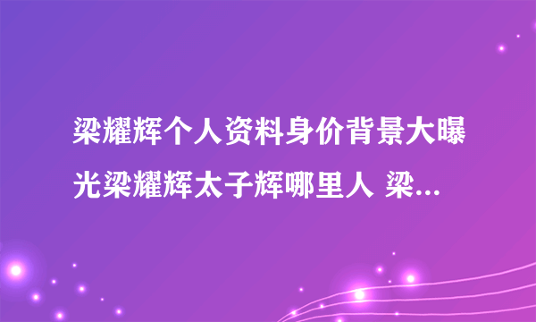 梁耀辉个人资料身价背景大曝光梁耀辉太子辉哪里人 梁耀辉老婆是谁