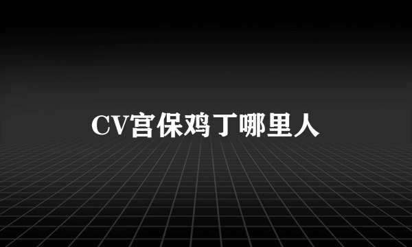 CV宫保鸡丁哪里人