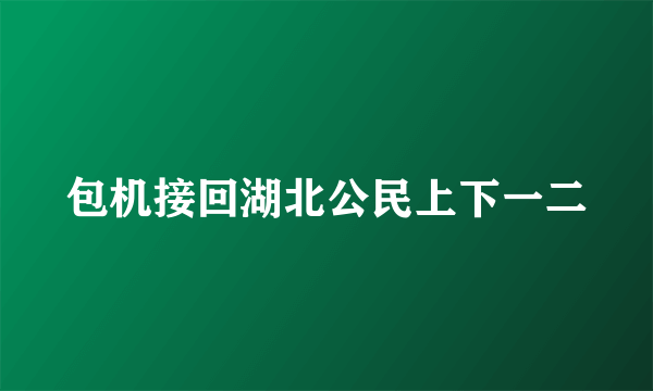 包机接回湖北公民上下一二