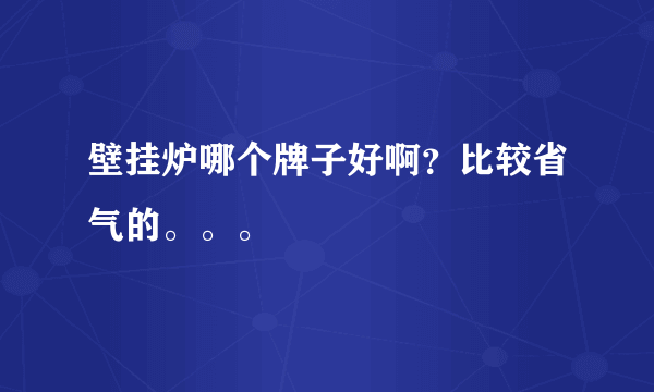 壁挂炉哪个牌子好啊？比较省气的。。。