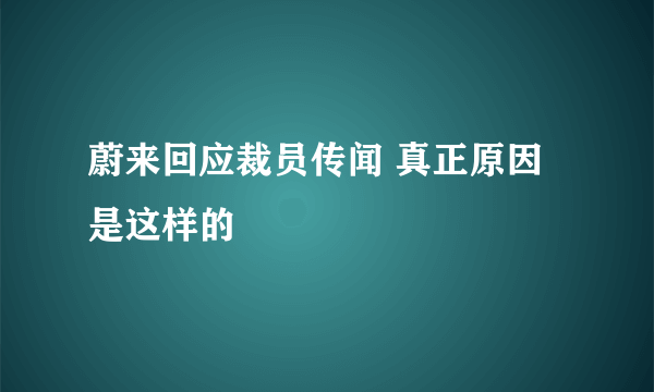 蔚来回应裁员传闻 真正原因是这样的