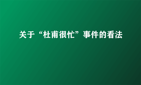 关于“杜甫很忙”事件的看法