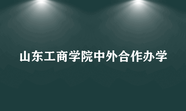 山东工商学院中外合作办学