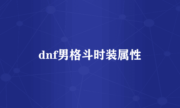 dnf男格斗时装属性