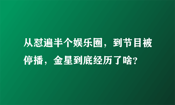 从怼遍半个娱乐圈，到节目被停播，金星到底经历了啥？