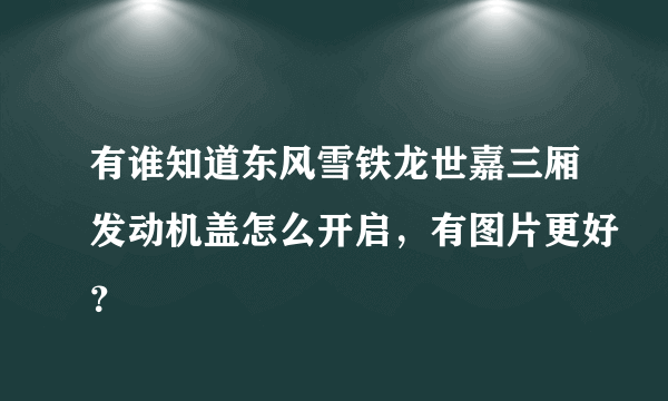 有谁知道东风雪铁龙世嘉三厢发动机盖怎么开启，有图片更好？