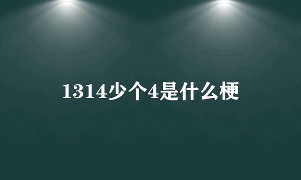 1314少个4是什么梗