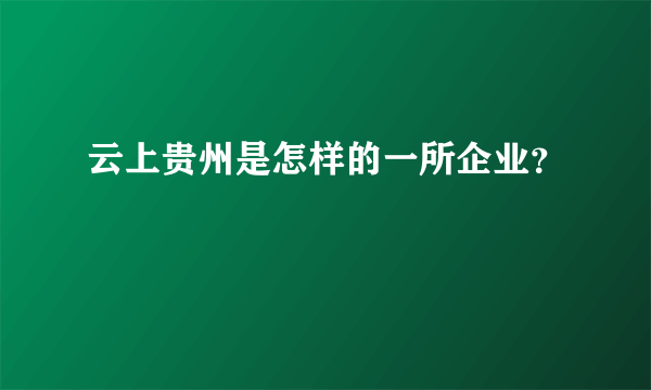 云上贵州是怎样的一所企业？