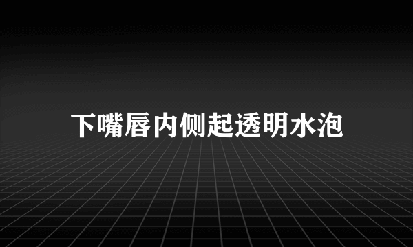 下嘴唇内侧起透明水泡