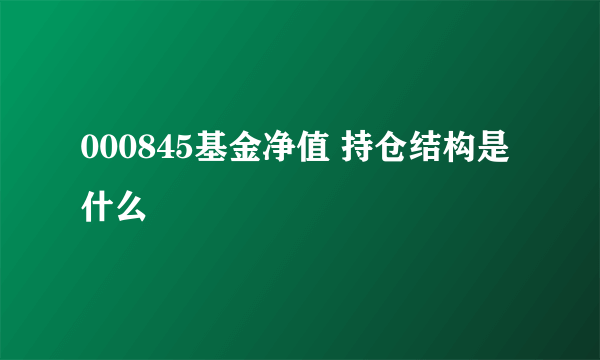 000845基金净值 持仓结构是什么