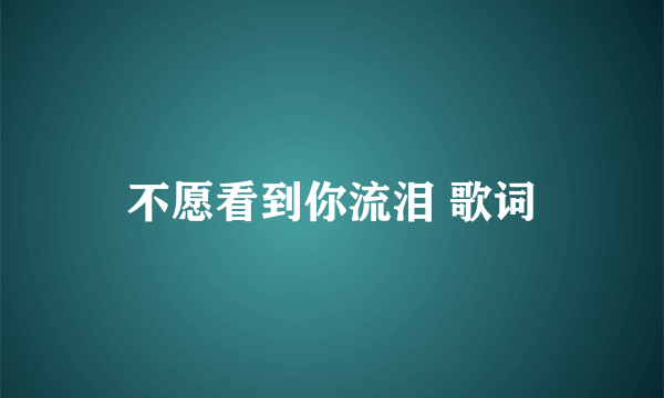 不愿看到你流泪 歌词