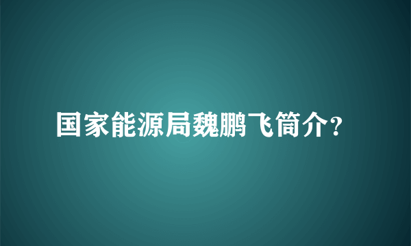 国家能源局魏鹏飞筒介？