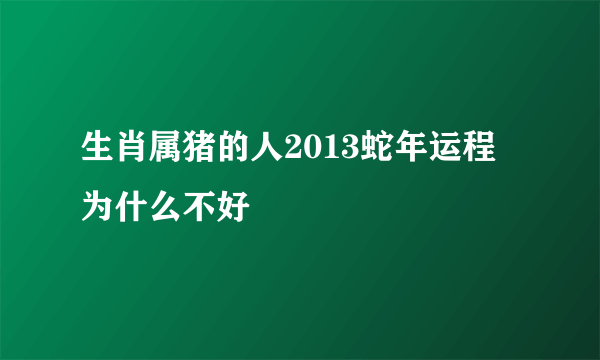 生肖属猪的人2013蛇年运程为什么不好