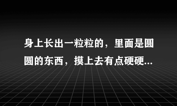 身上长出一粒粒的，里面是圆圆的东西，摸上去有点硬硬...