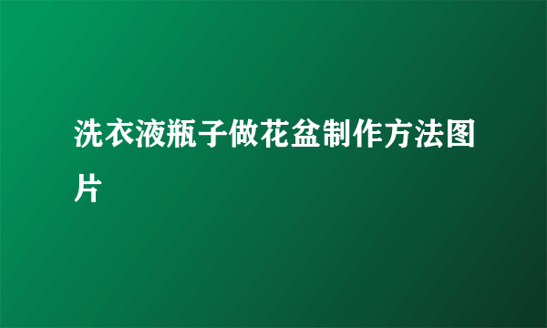 洗衣液瓶子做花盆制作方法图片