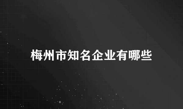 梅州市知名企业有哪些