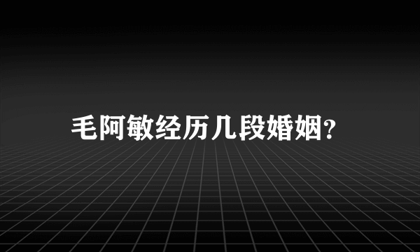 毛阿敏经历几段婚姻？