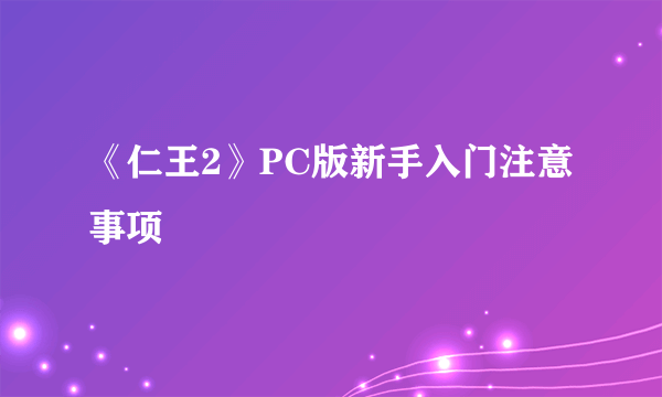 《仁王2》PC版新手入门注意事项