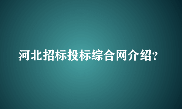 河北招标投标综合网介绍？