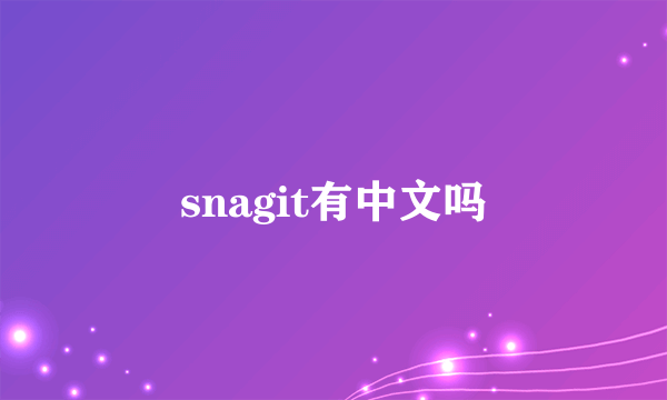 snagit有中文吗